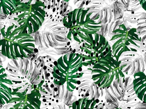 Jersey bawełna z elastanem liście monstera na białym druk cyfrowy